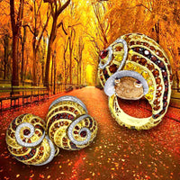 Bejeweled Fall in New York City🍂