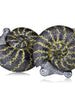 DIAMOND AND GOLD LITTLE SNAIL EARRINGS